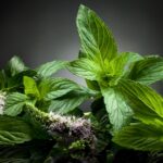 5 ways to get rid of bad breath