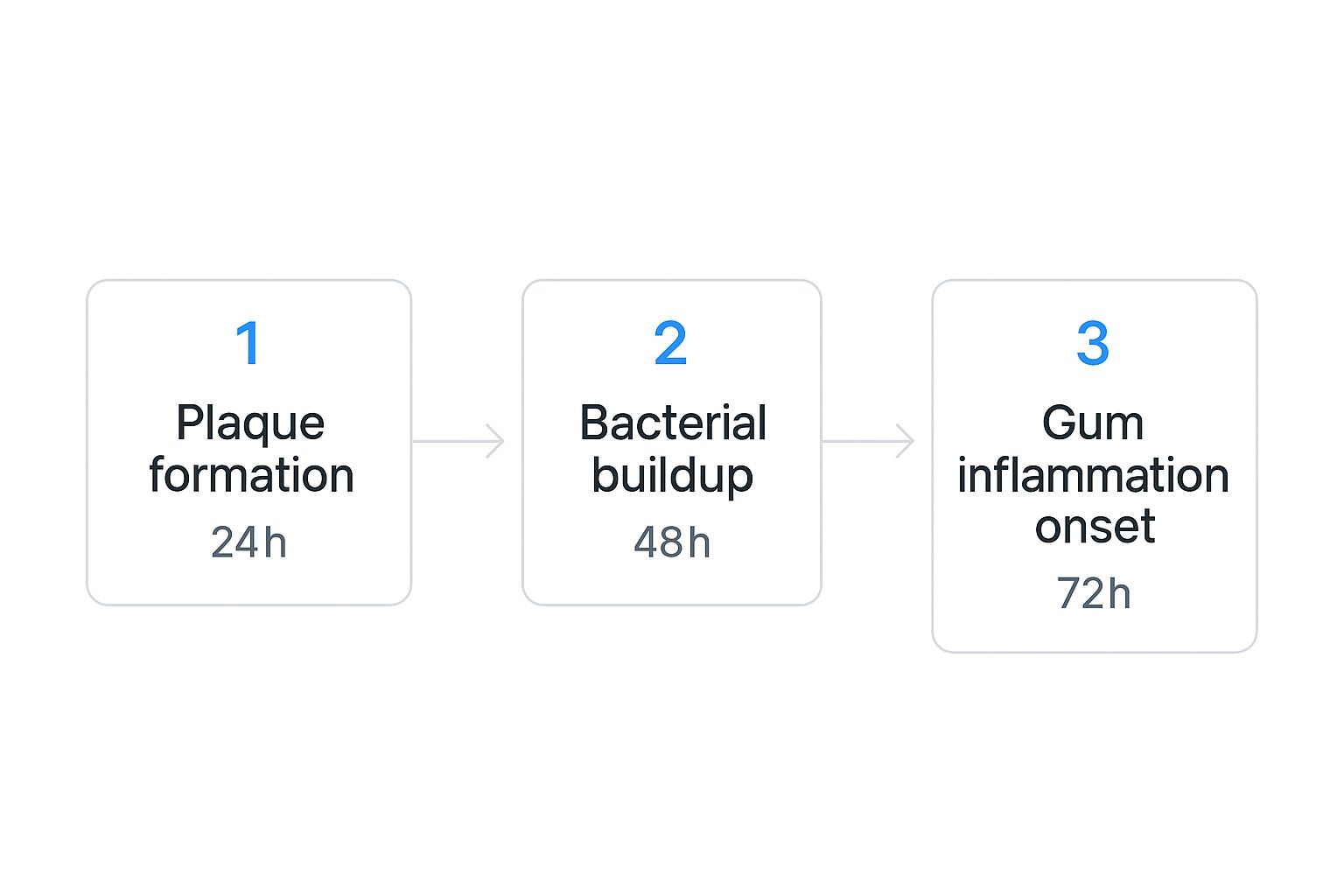 Infographic showing the process from plaque formation to gum inflammation over 72 hours.